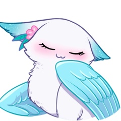 Минто Котик, 12.12