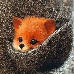 Светлана Волкова, 25.12, Москва