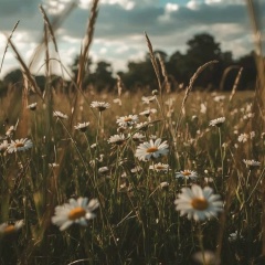 Катя Миронова, Пенза