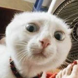 Нуржан Сарсенбаев, 19.04.1996, Тараз