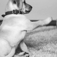 Мика Нургазы, 25.07