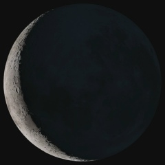 Адель Гумеров, 18.02, Москва