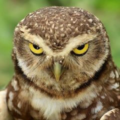 Алеся Лавринович, 29.06, Глубокое