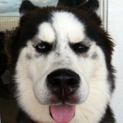 Владимир Девяев, 18.06.1990, Москва