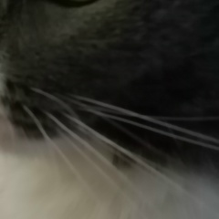 Кристина Корягина, 17.03.1992, Барнаул