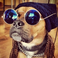 Артур Губайдуллин, Уральск