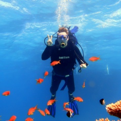 Антон Назаров, 26.08.1987, Россошь