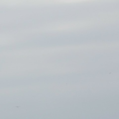 Олег Дорохин