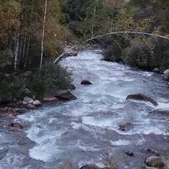 Анастасия Ройтман, 21.04.1994, Алматы