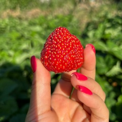 Люба Тен, 28.05.1988, Атырау