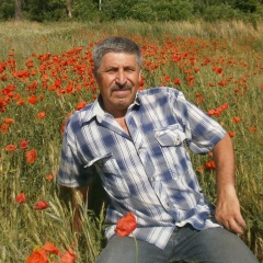 Александр Рыбка, 15.06.1959, Гуляйполе