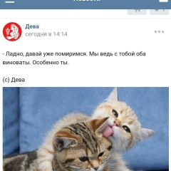 Амина Алиева
