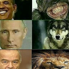 Бахтияр Ибрагимов