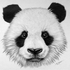 Айтурган Аскарова, Бишкек