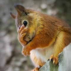 Мария Кондакова, 25.09.1982, Санкт-Петербург
