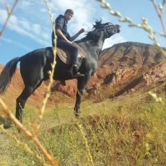 Нуртилек Мирбек Уулу, 04.08, Бишкек