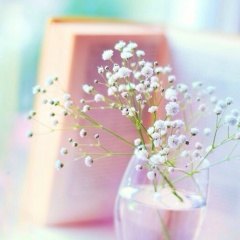 Виктория Опрышко, 19.11.1987, Москва