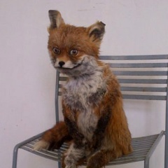 Иван Иван, Хабаровск