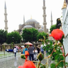 Rimma Shazhaliyeva, 03.10, Шымкент