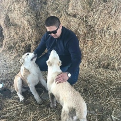 Нурбек Омаров, 14.05, Алматы