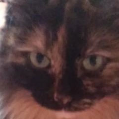 Любовь Серикова, 24.07, Магнитогорск