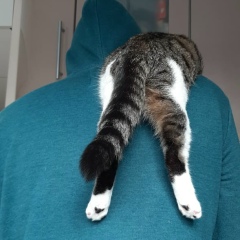 Бус Олегов, 27.05.1987, Санкт-Петербург