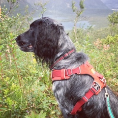 Шамиль Валиев, Москва