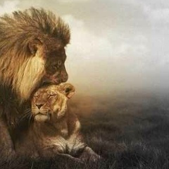 Александр Сурков, 15.08.1985, Великий Новгород