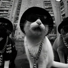 Александр Сергеевич, 19.09, Санкт-Петербург