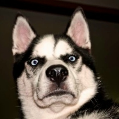 Георгий Маскеранов, Владивосток