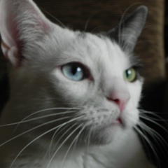 Наташа Вальчук-Орел, 16.07, Санкт-Петербург