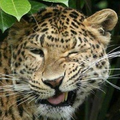 Артур Контур, 23.06, Санкт-Петербург