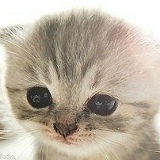 Anna Rido, 23.02.2000, Невинномысск