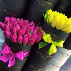 Раушан Ешимова, 27.04.1985, Алматы