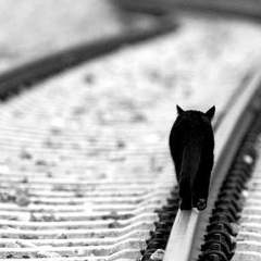 Анна Некрасова, 07.05, Киров