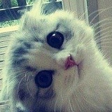 Рустам Рамазанов, 03.02, Дербент