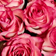 Алла Катугина, 07.09, Санкт-Петербург