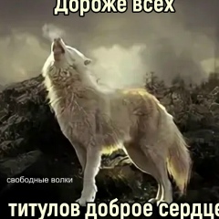 Maks Kulmatov
