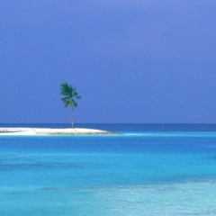 Дмитрий Попов, 20.06.1988, Москва
