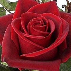 Ася Кардия, 03.04.1989