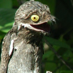 Кирилл Засецкий, 21.12.1988, Москва