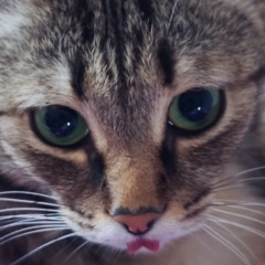 Ольга Куцевалова, 09.08, Омск