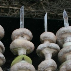 Екатерина Мельникова, 24.03.1987, Балтийск