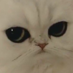 Аяжан Сал, 01.07