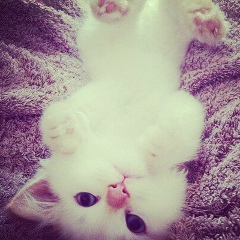 Ruzana Hasbulatova, 28.10.1999, Ножай-Юрт