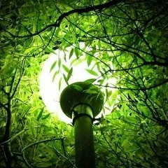 Роман Бухтояров, Ставрополь