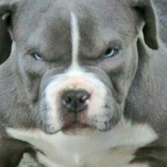 Алексей Шубин, 24.03.1972, Беловежский