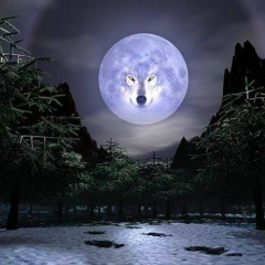 Кристина Дмитриева, Алматы