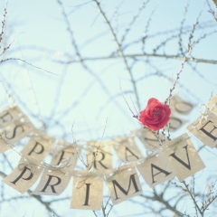 Екатерина Немцева, 31.07.1986, Москва