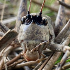 Юлия Глушаченкова, 01.09, Севастополь